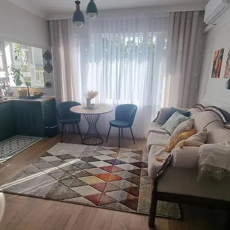 Mood Vibes ヴァルナ