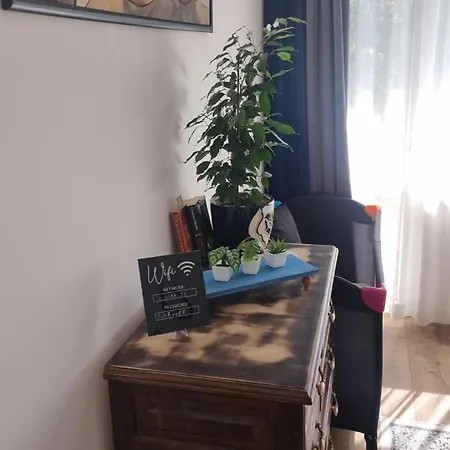 Mood Vibes ヴァルナ