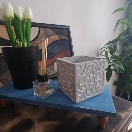 アパート Mood Vibes *