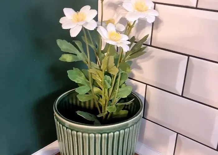 студио за двама с паркинг-център,морска градина,плаж Апартамент Варна